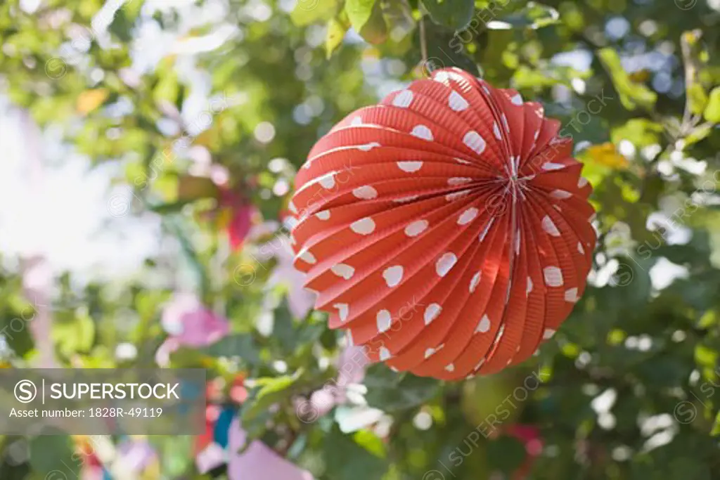 Paper Lantern Decorations at Birthday Party   