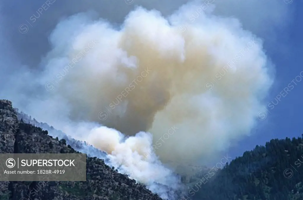 Landscape and Smoke from Forest Fire   