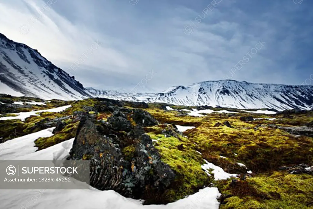 Snaefelsnes Glacier with Moss and Rock, Iceland   