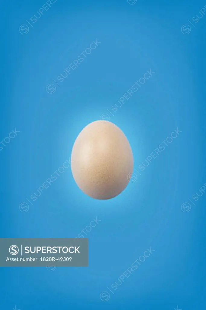 Still Life of Egg   
