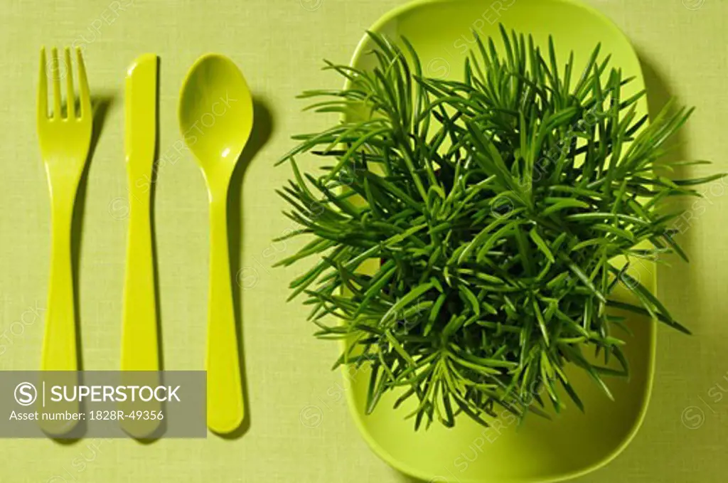 Cutlery and Plant on Plate   