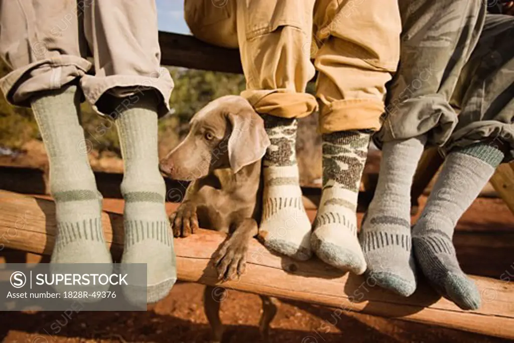 Close-up of Men's Feet with Weimaraner Dog, Garden of the Gods Park, Colorado Springs, Colorado, USA   