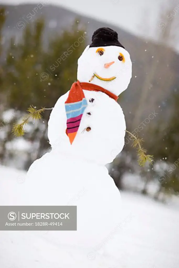Snowman, Near Frisco, Summit County, Colorado, USA   