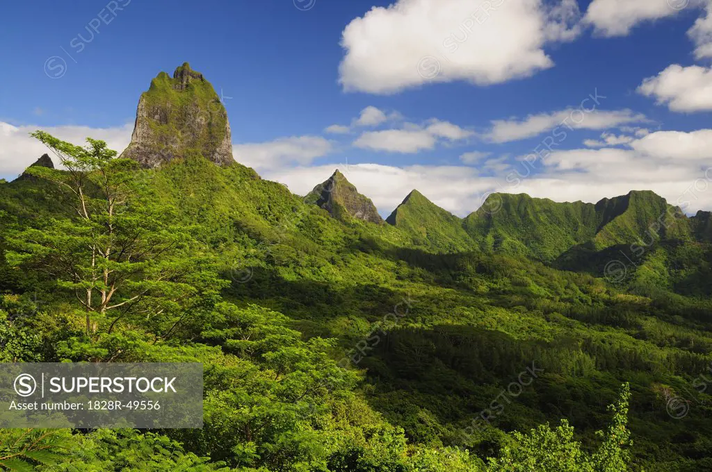 Mountain Peak and Opunohu Valley, Moorea, French Polynesia   