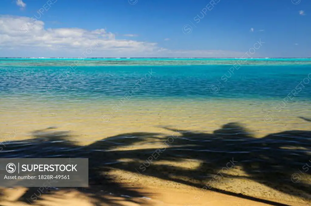 Shadows of Palm Trees in Lagoon, Moorea, French Polynesia   