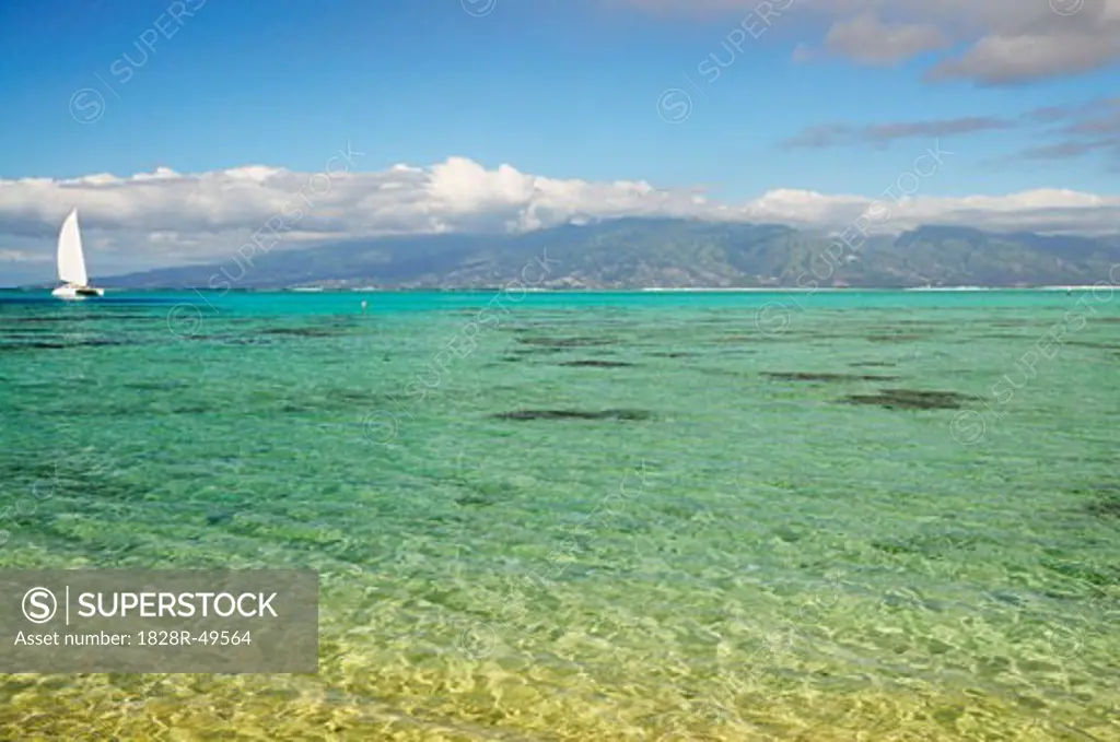 View of Tahiti from Moorea, French Polynesia   