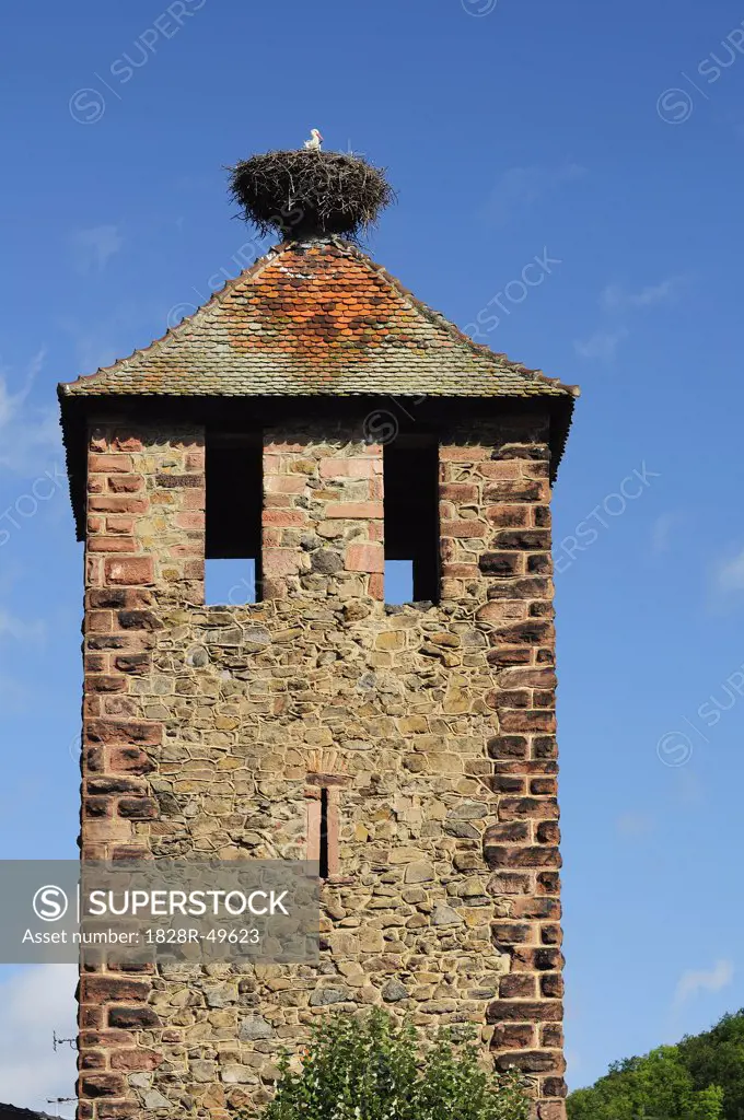 Stork in Nest on Top of Tower, Kaysersberg, Haut-Rhin, Alsace, France   