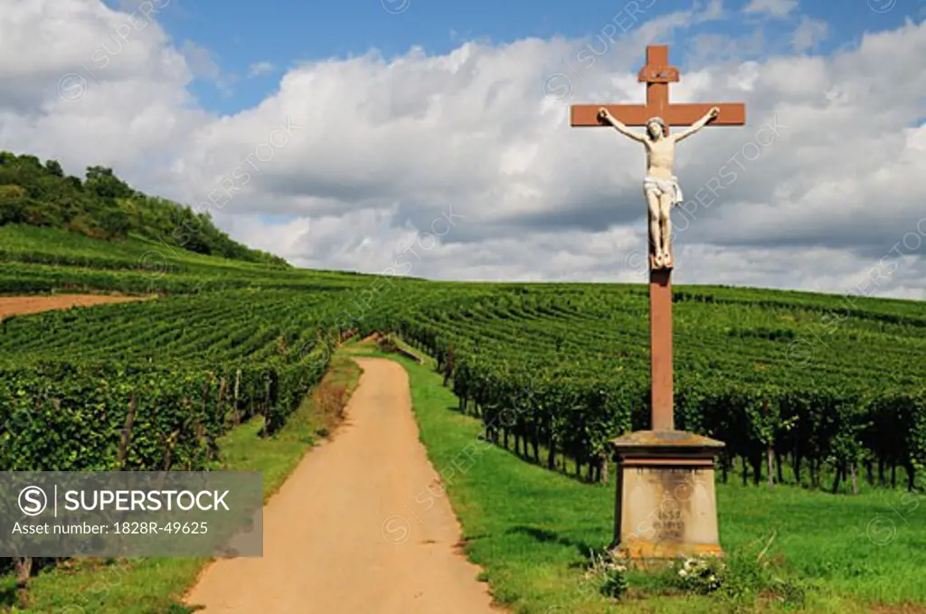 Statue of Jesus Christ in Vineyard, Kaysersberg, Haut-Rhin, Alsace, France   