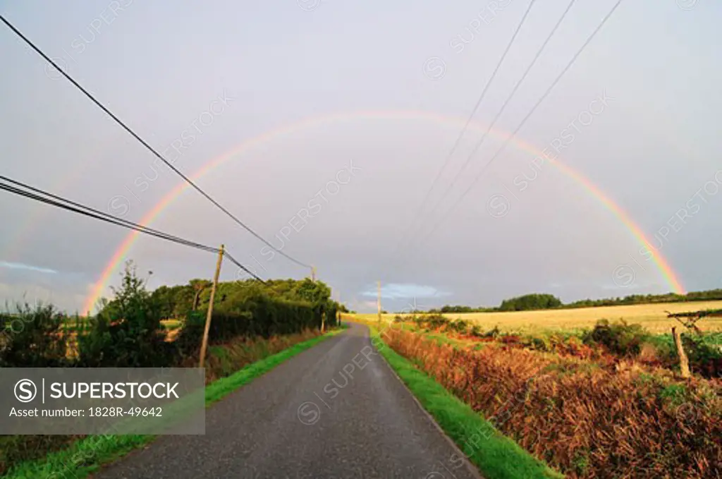 Rainbow Near Concoret, Paimpont Forest, Paimpont, Ille-et-Vilaine, Brittany, France   