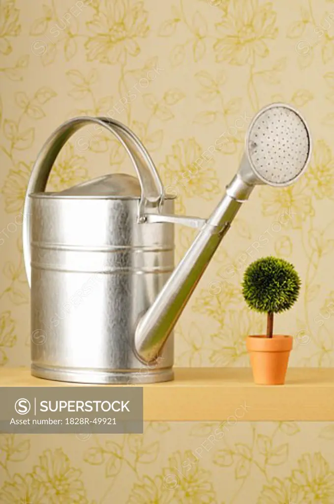 Watering Can and Plant   