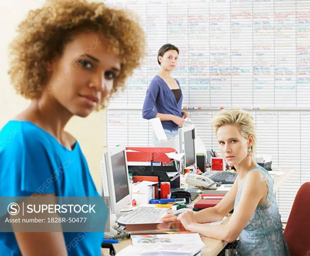 Group Of Women Working In Office   
