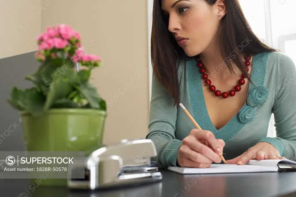 Woman Working from Home   