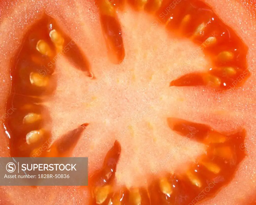 Close-Up of Tomato   