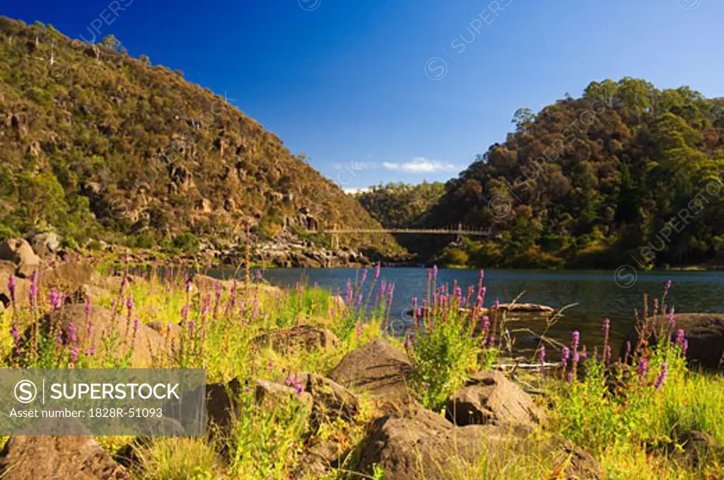 Cataract Gorge, Launceston, Tasmania, Australia   