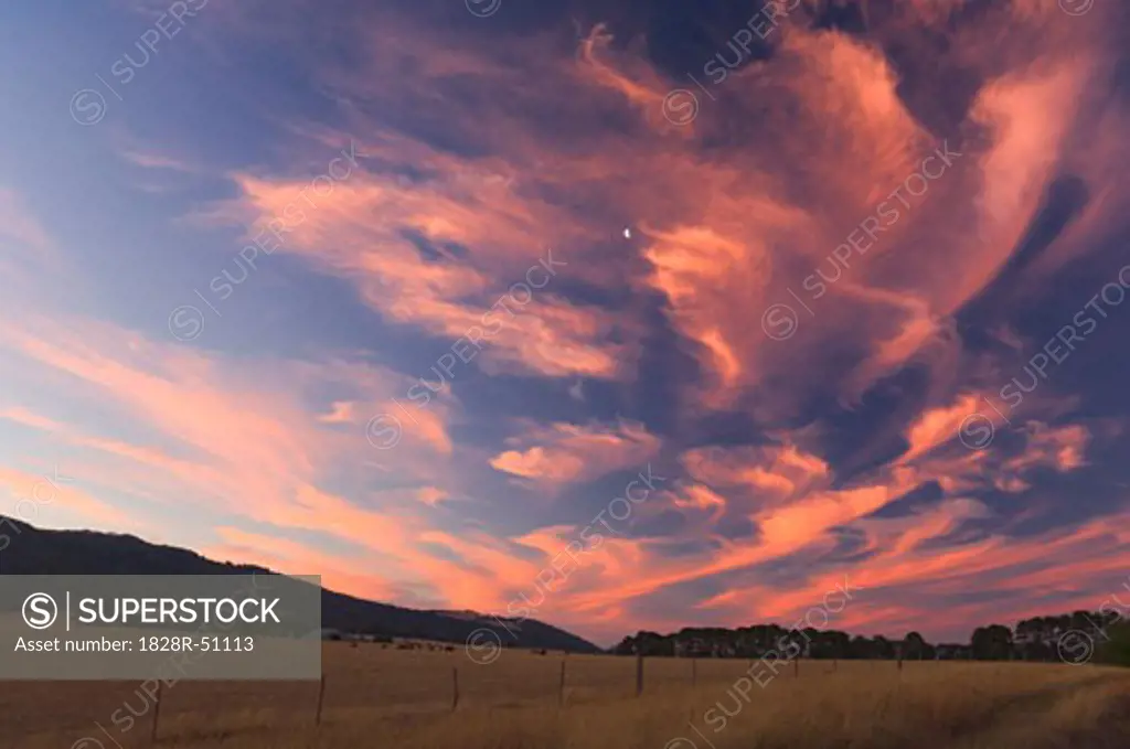 Pasture at Sunset, Near Mansfield, Victoria, Australia   