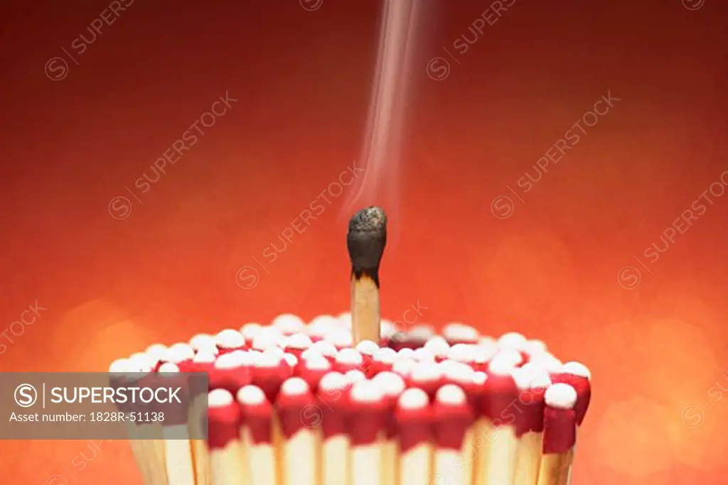 Burnt Match with Cluster of Unlit Matches   