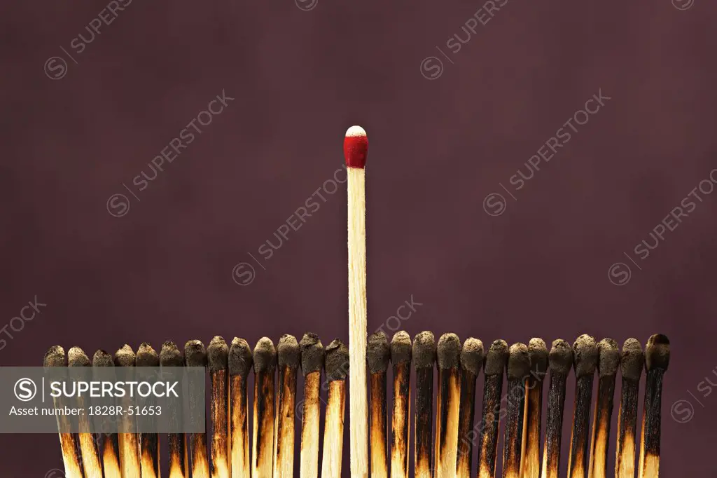 One Unlit Match Among Row of Burnt Matches   