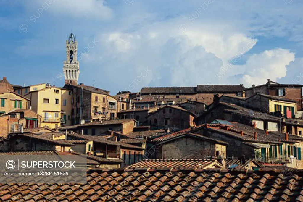 Torre del Mangia, Siena, Tuscany, Italy   