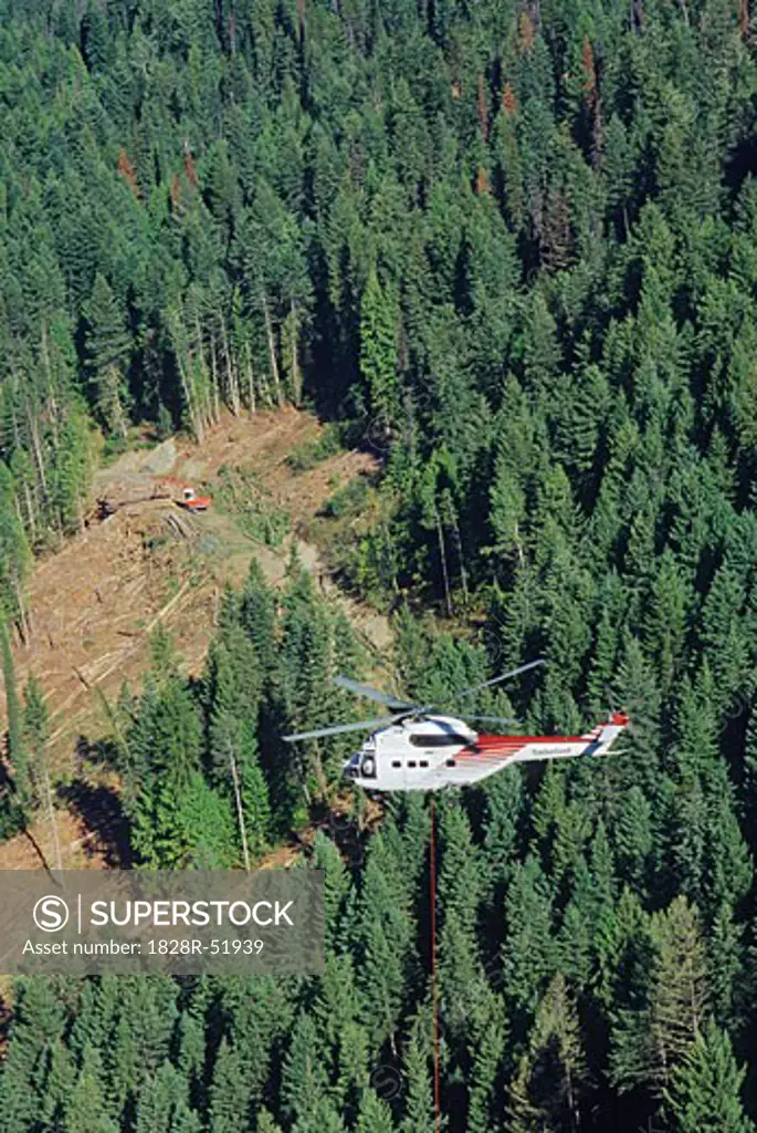 Heli-logging, British Columbia, Canada   
