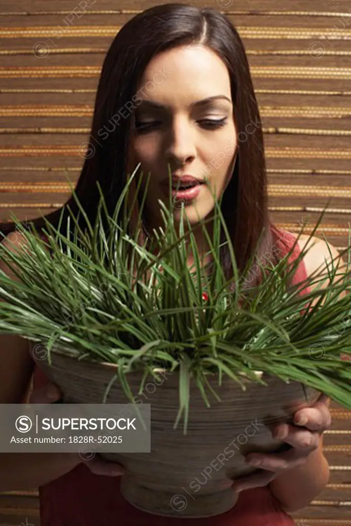Portrait of Woman Holding Plant   