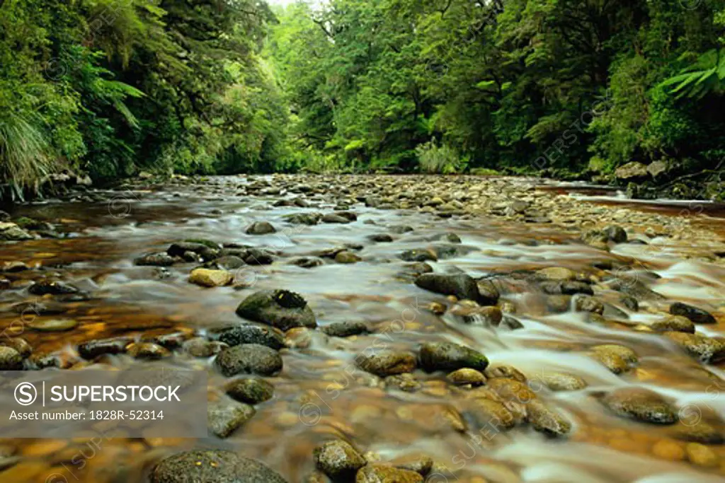 Oparara River, Kahurangi National Park, New Zealand   