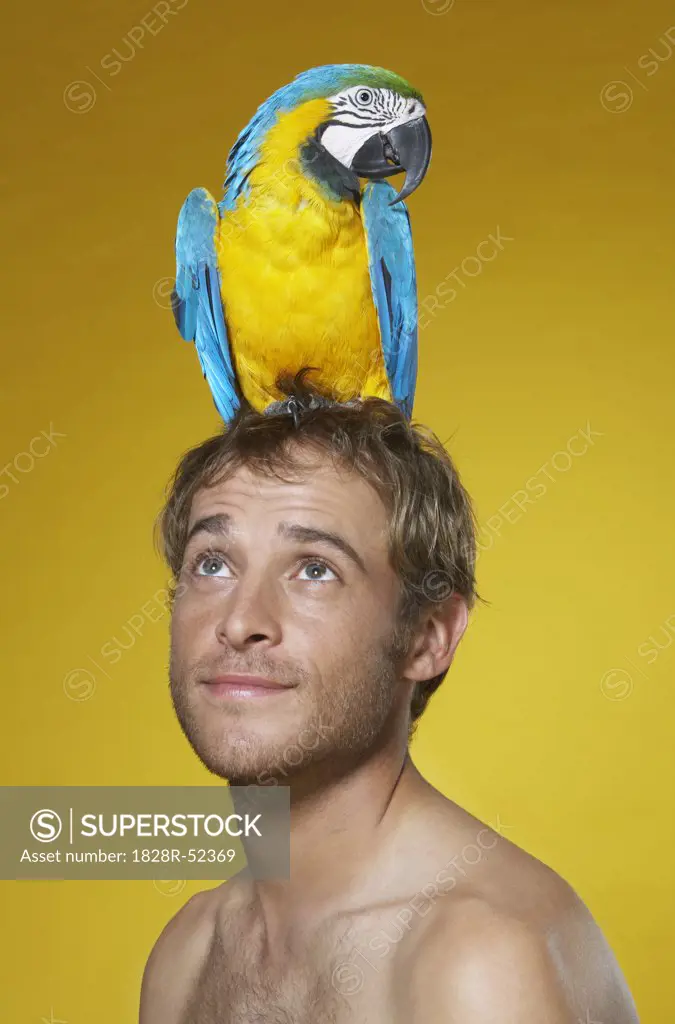 Portrait of Man with Parrot on Head   