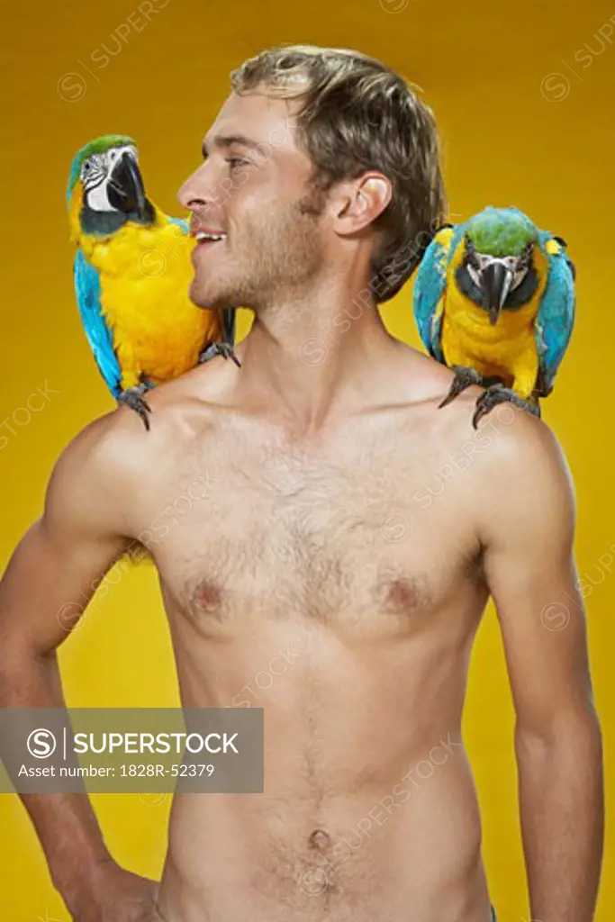 Portrait of Man with Parrots   