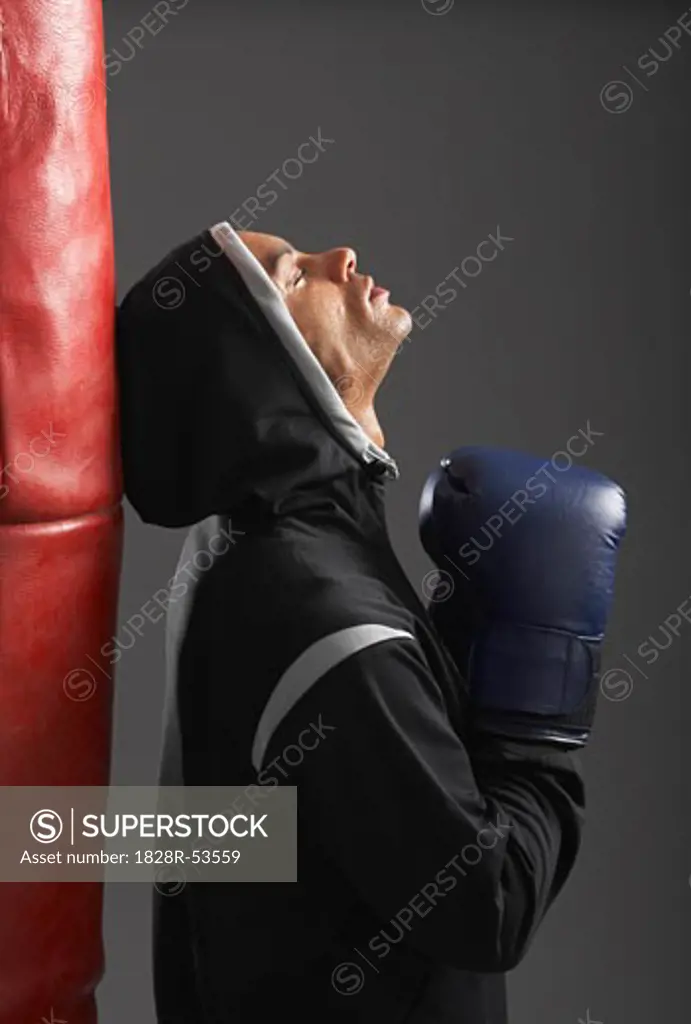 Boxer Training   