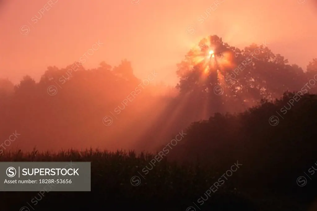 Sunrise, Franconia, Bavaria, Germany   