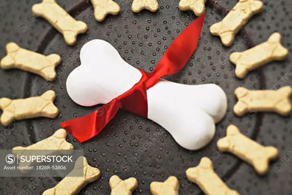 Dog Bones on Plate With Ribbon   