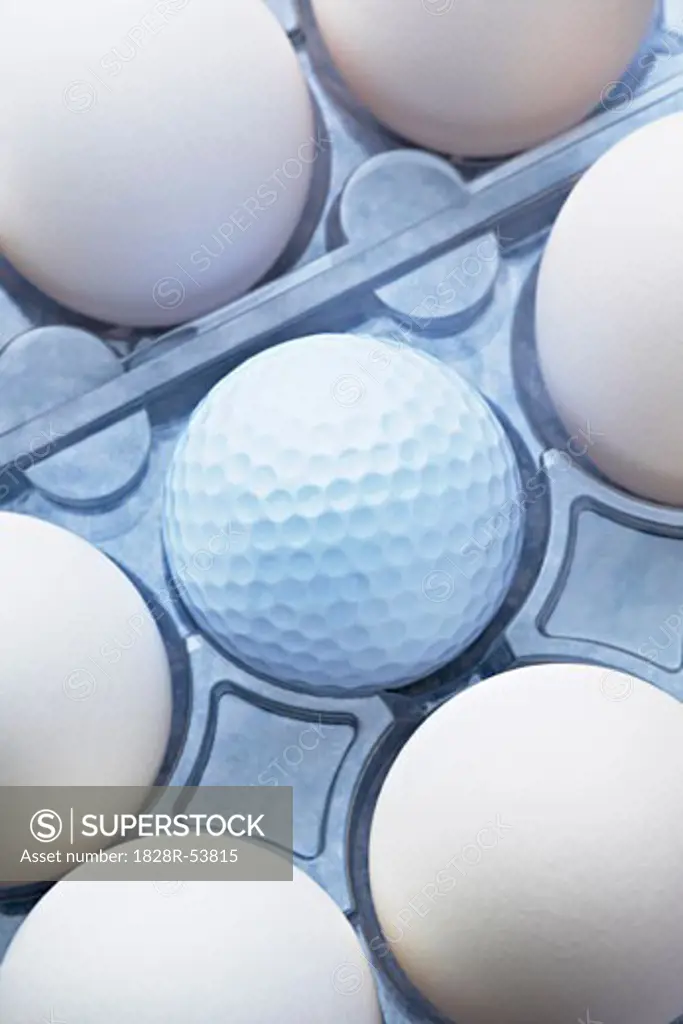 Eggs in Carton With Golf Ball   
