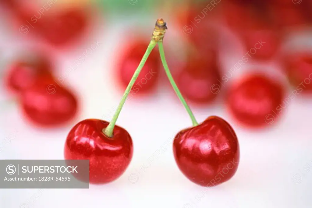 Close-Up of Cherries   