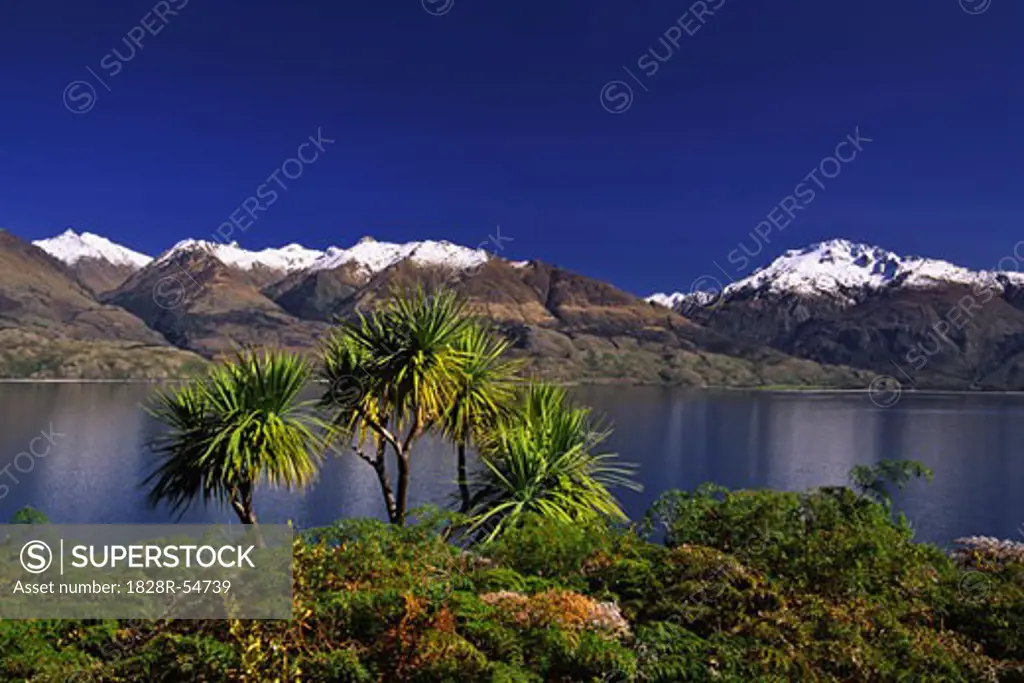 Lake Wanaka and Harris Mountains, New Zealand   