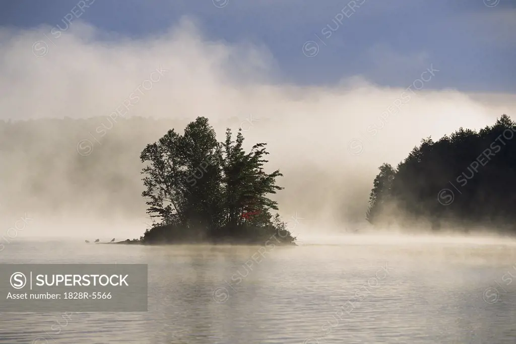 Lake and Trees with Fog, Otter Lake, Haliburton, Ontario, Canada   
