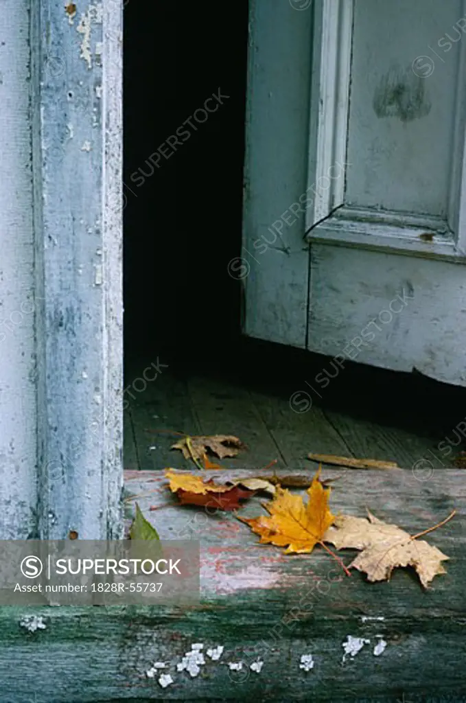 Leaves in Doorway, Shamper's Bluff, New Brunswick, Canada   