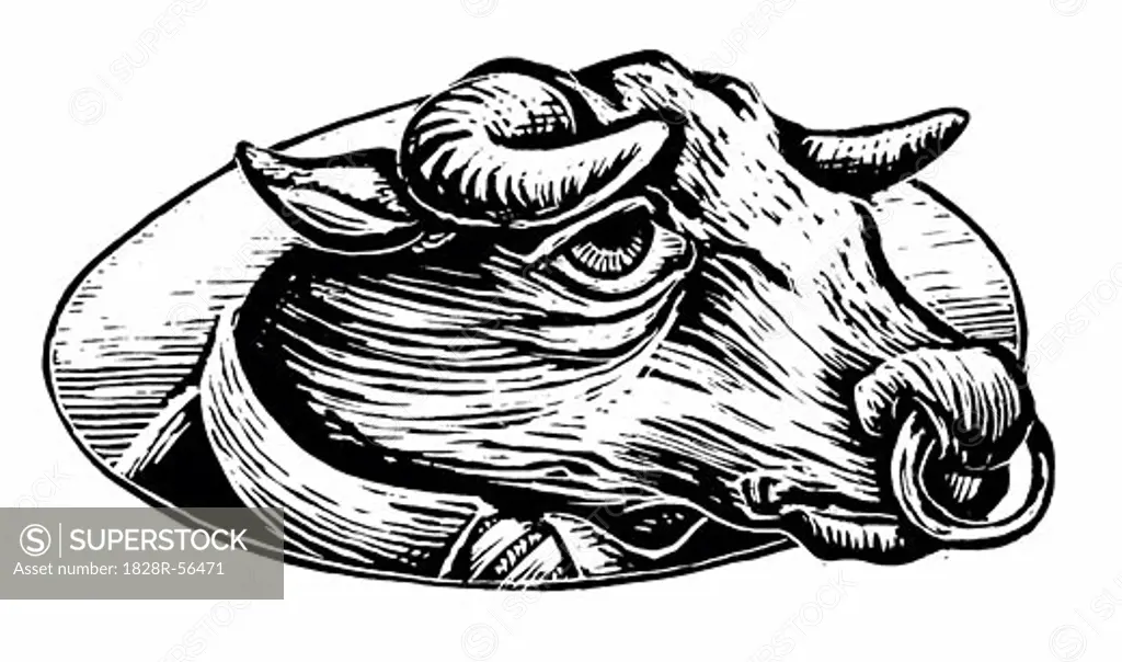 Illustration of a Bull's Head   