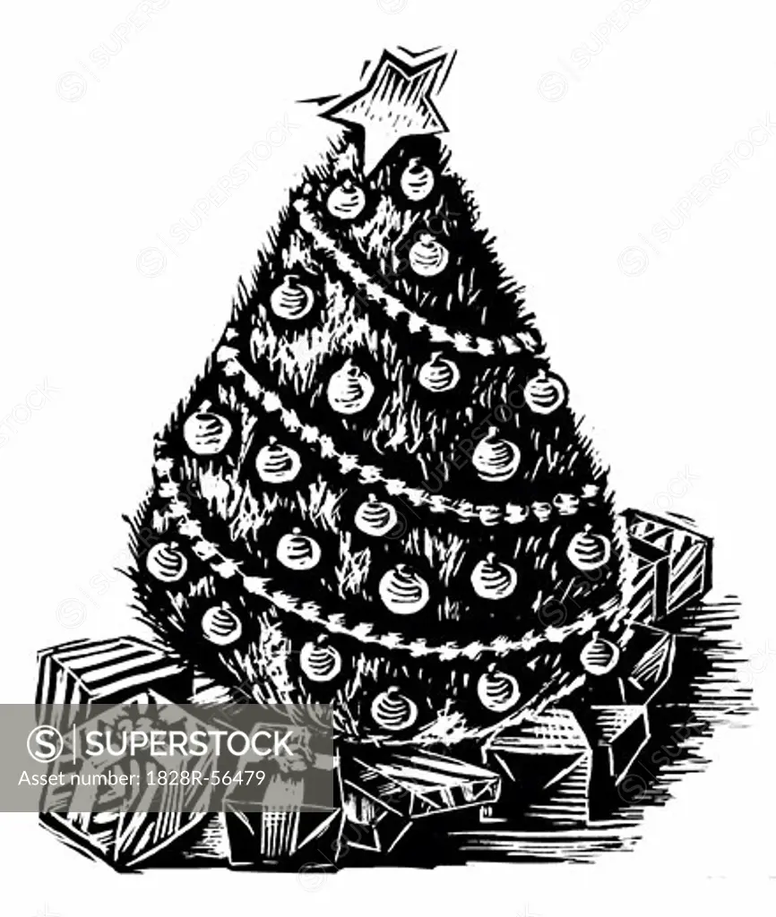 Illustration of a Christmas Tree   