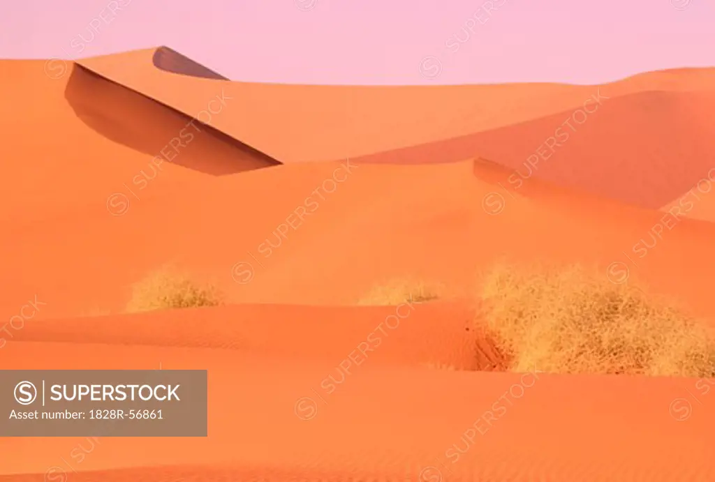 Namib Desert, Namib Naukluft Park, Namibia   