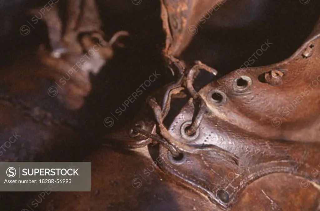 Close-up of Shoes   