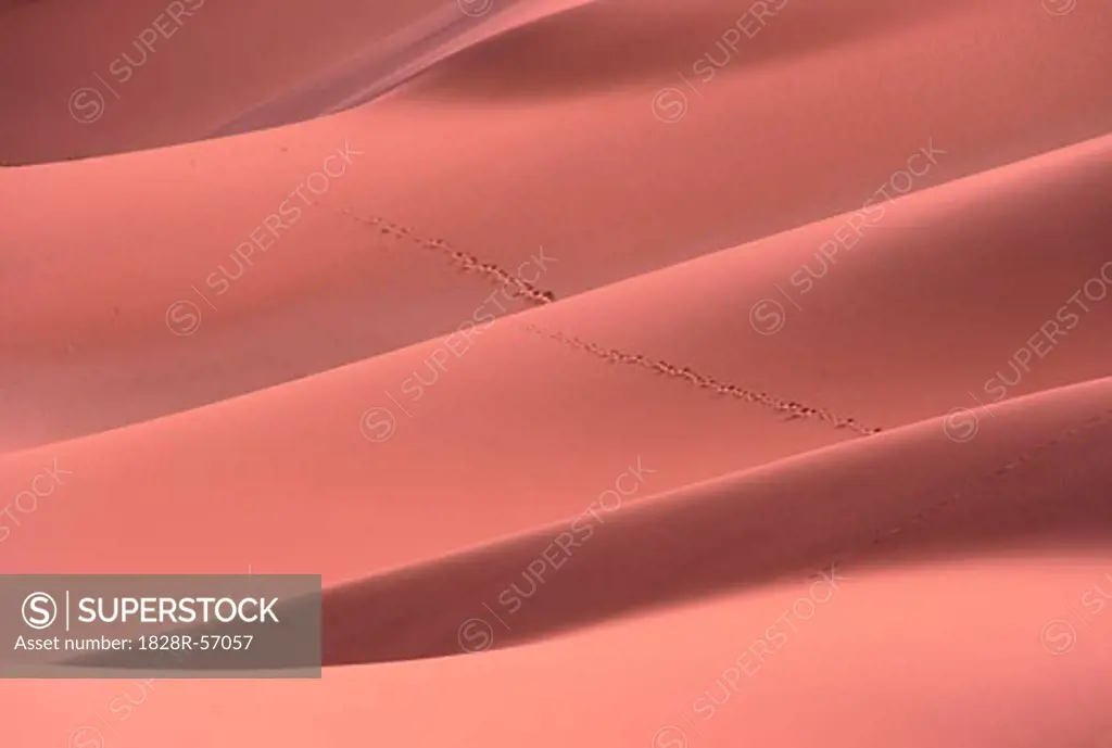 Sand Dunes, Namibia   