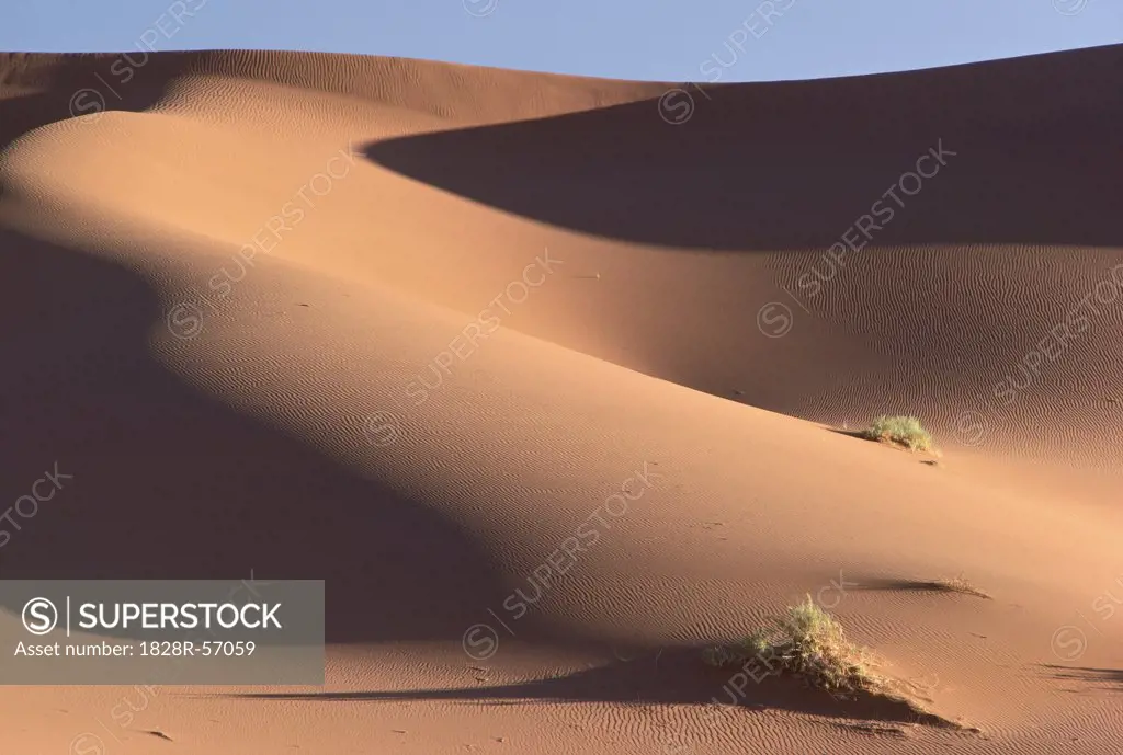 Desert, Sossusvlei, Namibia   