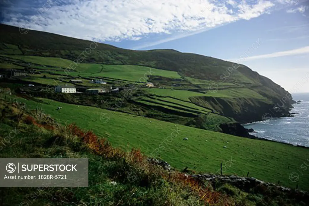 Overview of Landscape and, Shoreline, Dingle Peninsula, Ireland   