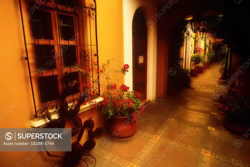 Flowers in Courtyard with Windows And Hallway, Oaxaca, Mexico   