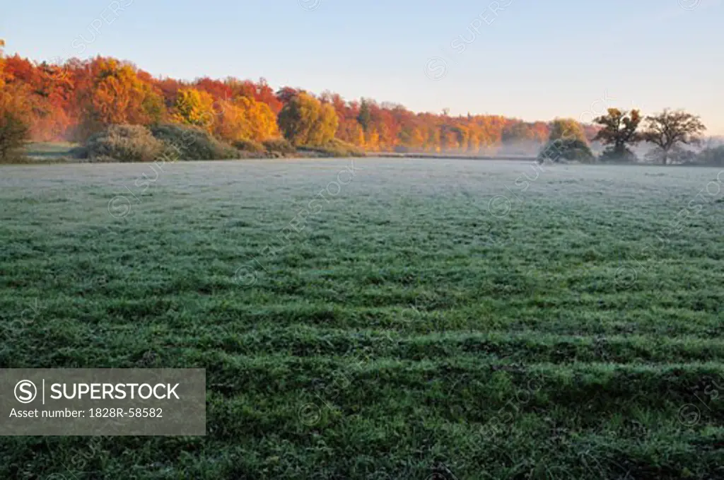 Field and Forest in Autumn, Fuerstenfeldbruck, Bavaria, Germany   