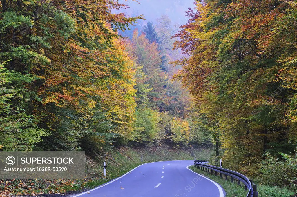 Road through Forest, Danube Valley, Baden-Wurttemberg, Germany   