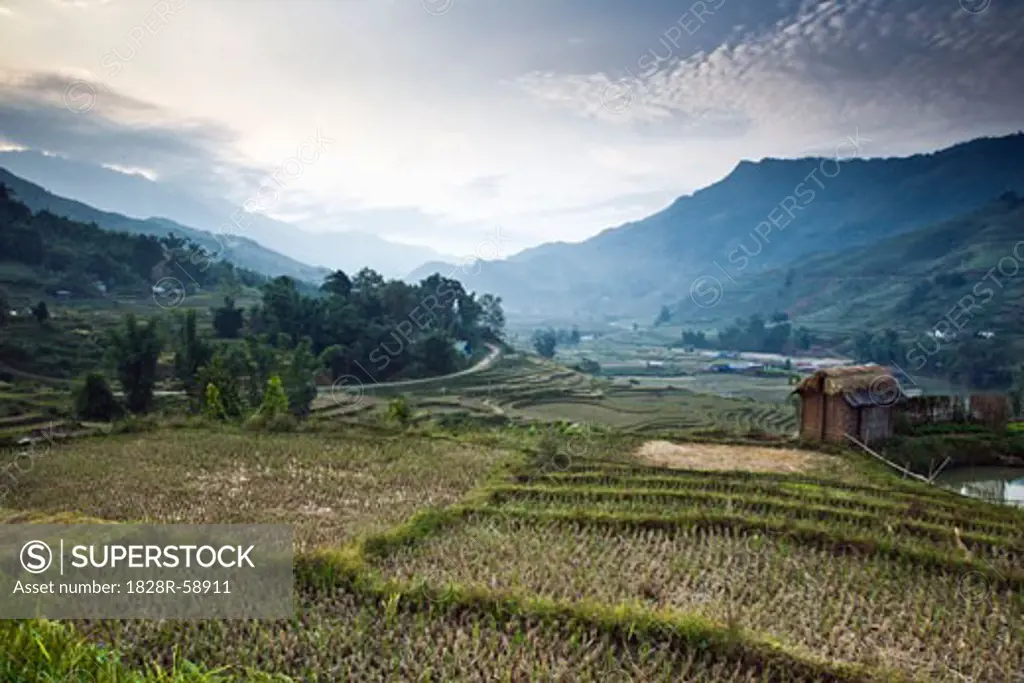 Rice Fields, Sa Pa, Lao Cai Province, Vietnam   