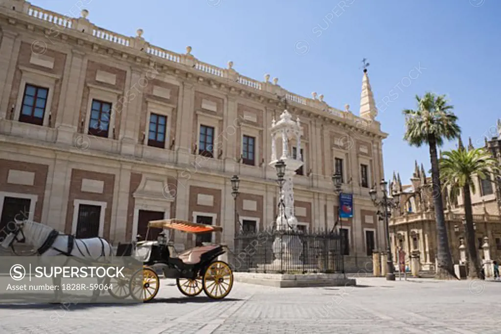 Horse and Carriage by the Archivo de Indias, Plaza del Triunfo, Seville, Andalucia, Spain   