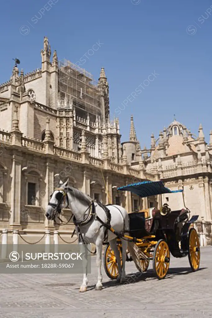 Horse and Carriage in Front of the Seville Cathedral, Seville, Andalucia, Spain   