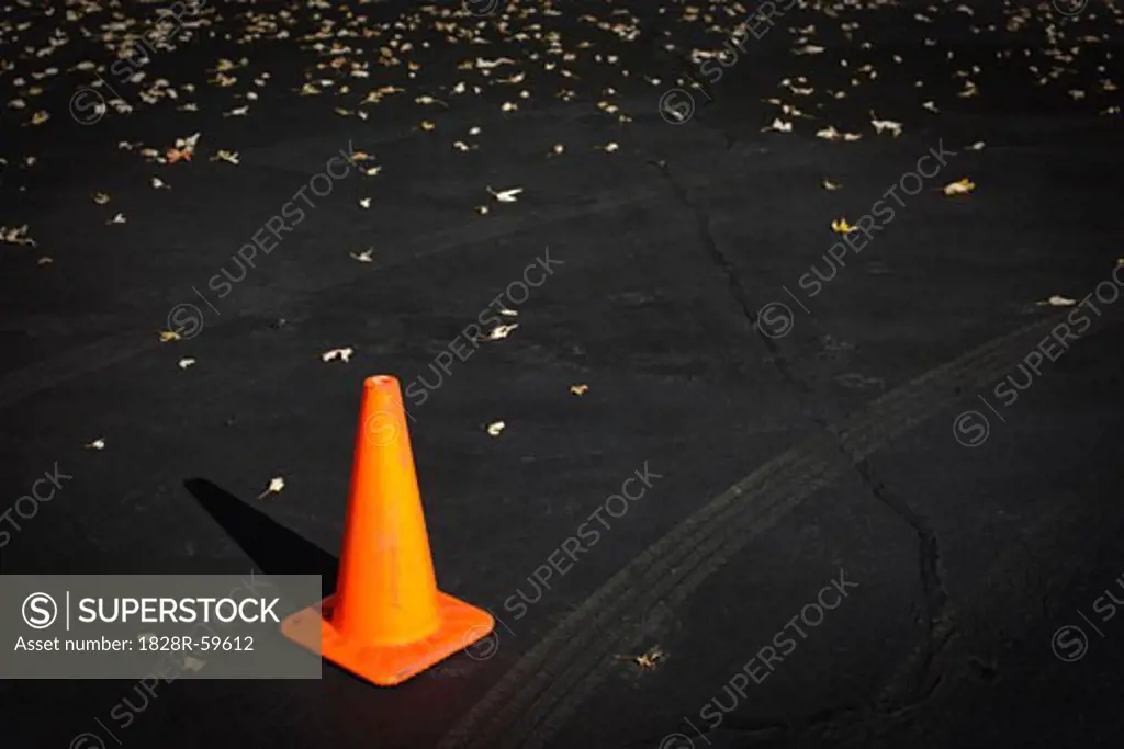 Traffic Cone on Freshly Paved Asphalt, Ashland, Oregon, USA   