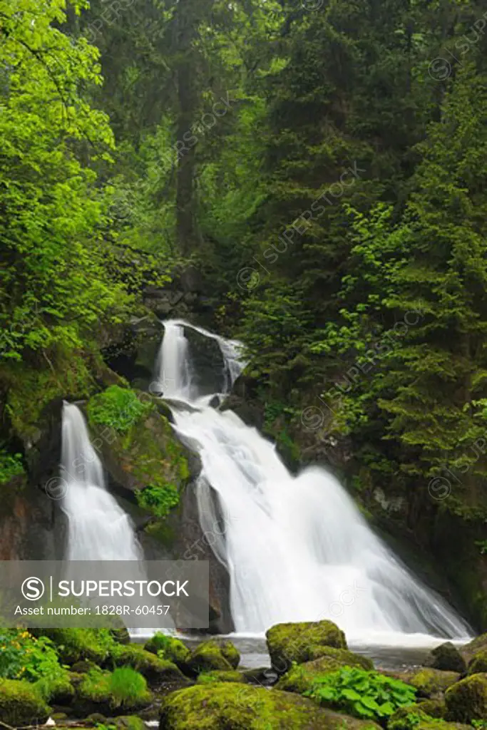 Waterfall in Black Forest, Baden-Wurttemberg, Germany   